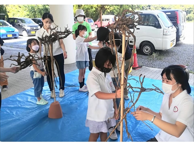 11日　下の方にも付けよう