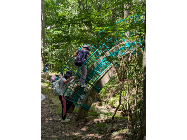 ﾊﾞｯｼﾞﾌﾟﾛｸﾞﾗﾑのﾎﾟｲﾝﾄへ途中の太鼓橋は難しい