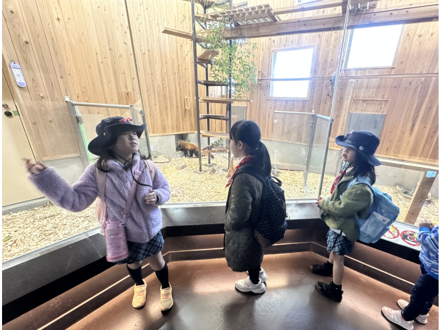 レッサーパンダを見にいきました