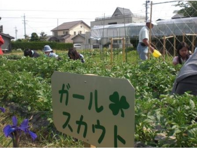 素晴らしい畑が完成しました。