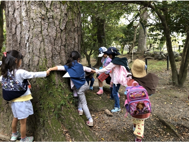 ﾃﾝﾀﾞｰﾌｯﾄ集会（岡崎）ニンジャ修行になぞらえ、楽しく交流した年。