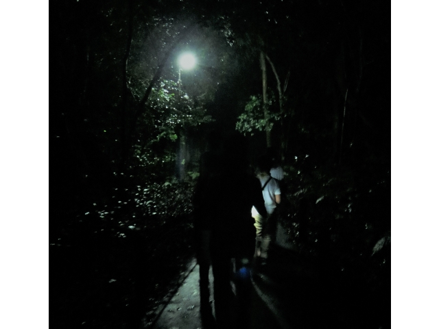 懐中電灯を頼りに暗がりを歩きました。熱田のスカウトがガイドをしてくれました。