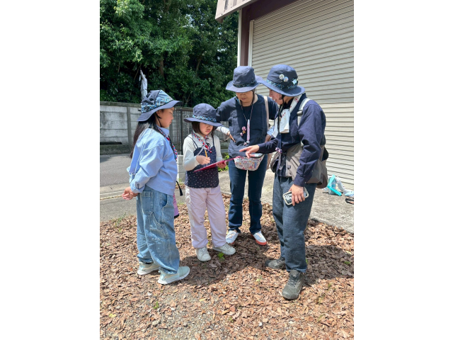 食材の価格予想