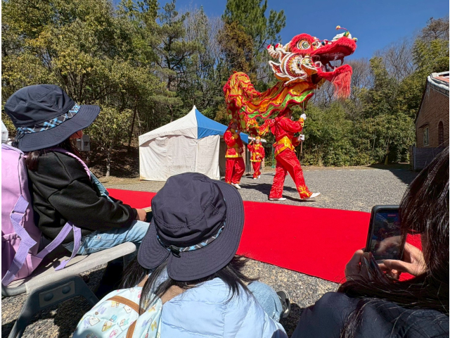 近くで龍舞を鑑賞できました