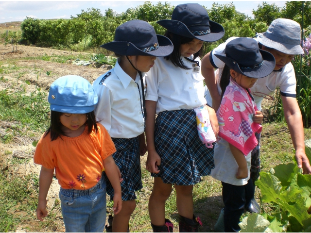 サツマイモを植えさせていただいてる畑の方が栽培している野菜の説明を聞きます。