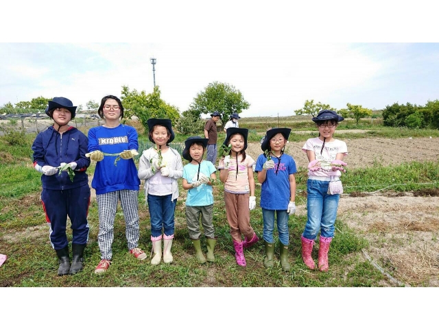 さあ！
今から苗植え