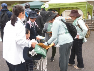 「ひまわり育ててください」