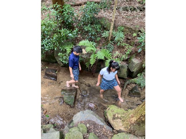 川遊びもして楽しい活動でした♪