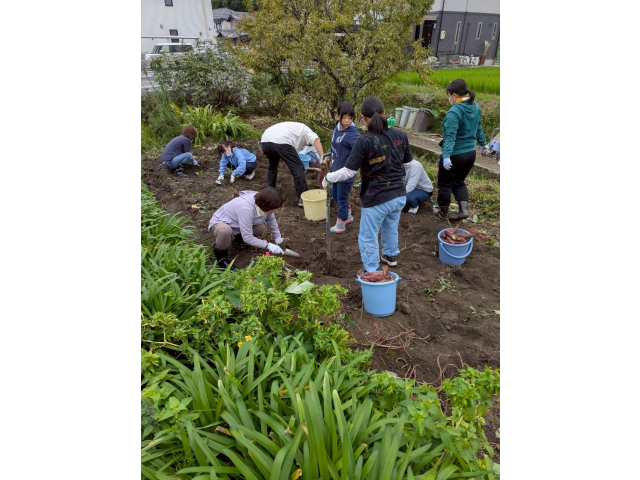 毎年お世話になっているNさんの畑で芋掘りをさせていただきました。