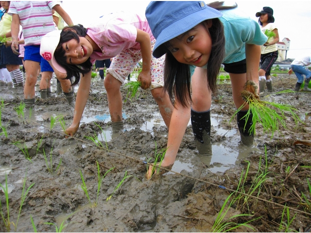 だんだん上手くなってきたね！