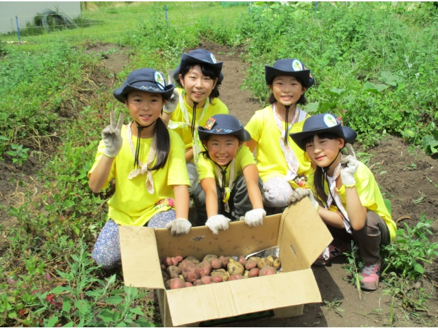 その堆肥で作った野菜の収穫作業をさせて頂いた、G,S畑チーム