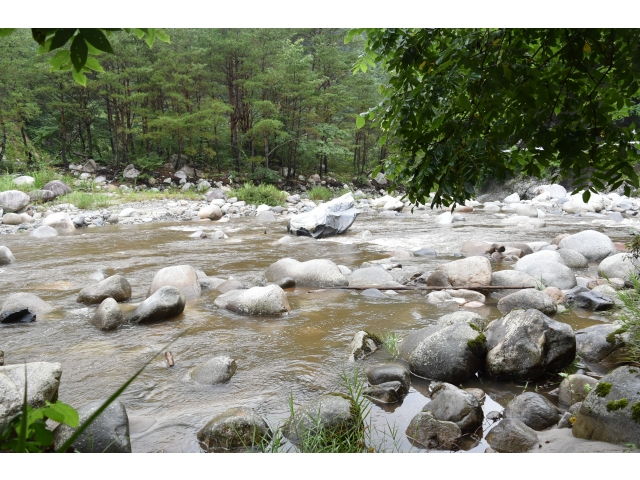 雨は上がっていますが、川の水は濁っています。