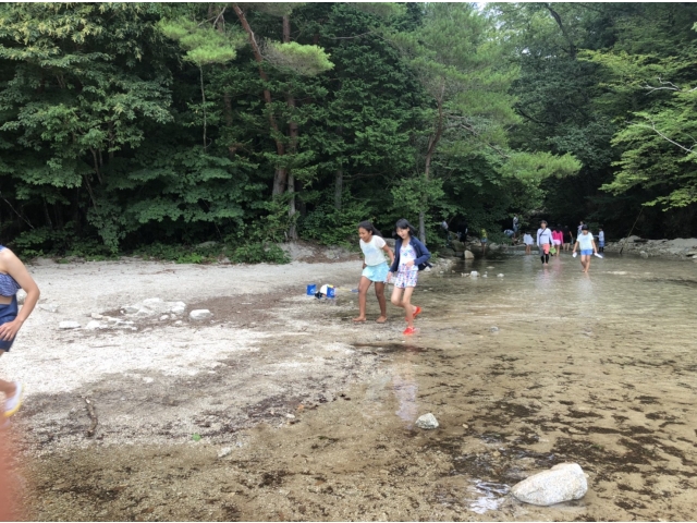 清流ですねぇ。