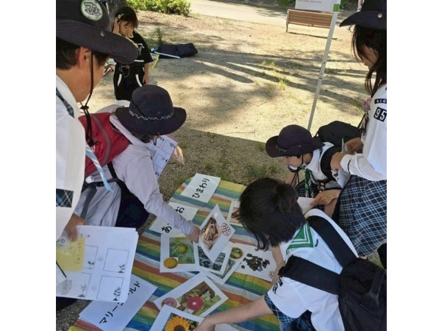 絵合わせゲーム中。植物の成長段階から自分の成長の話につながる導入部です。